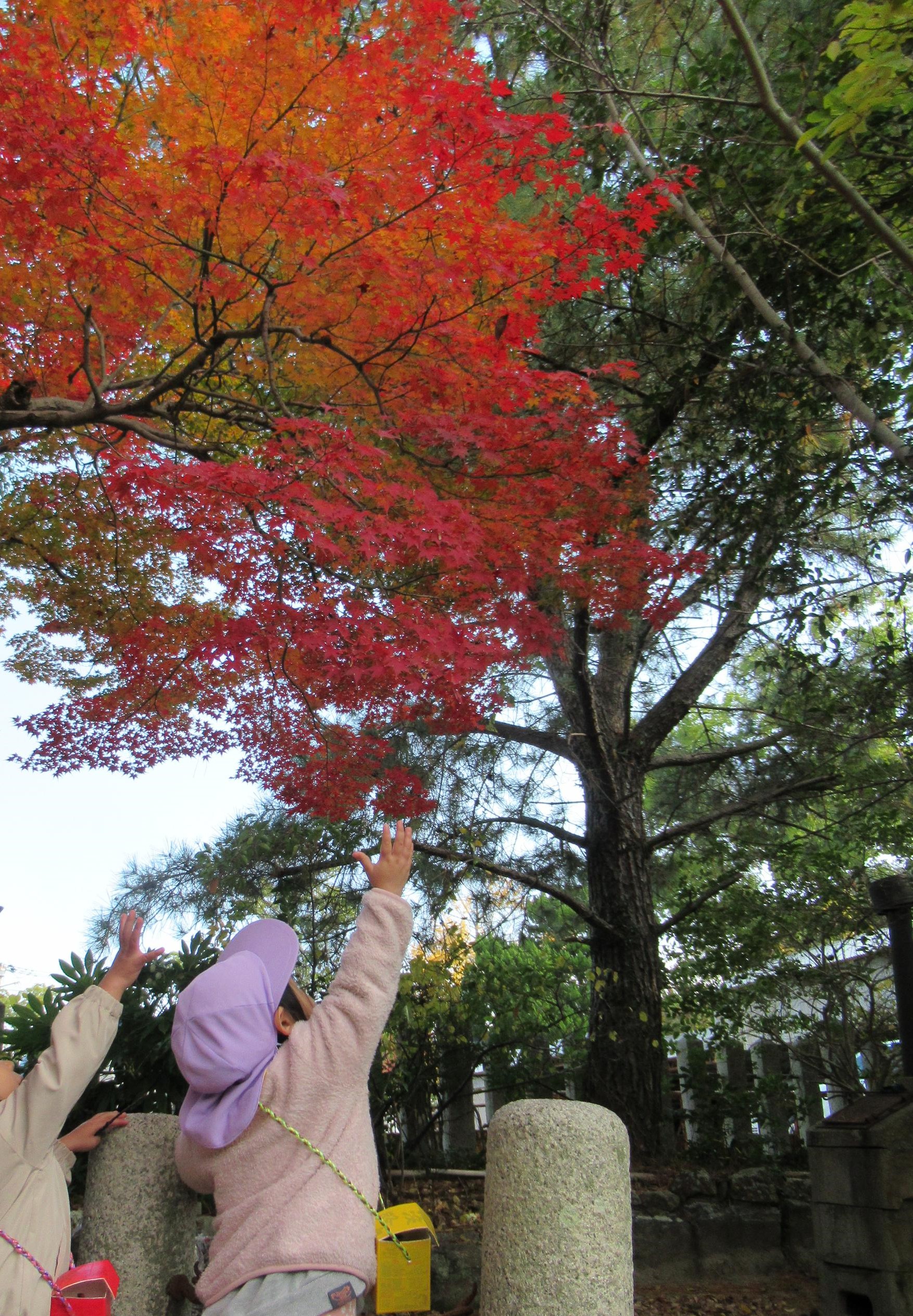 園外散歩2トリミング